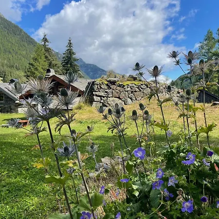 Alpehytte Nos Maisons Cosy - Vallorcine
